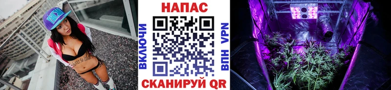Все наркотики Великий Новгород COCAIN  ГАШИШ  Галлюциногенные грибы  MEGA сайт  A PVP  Каннабис 