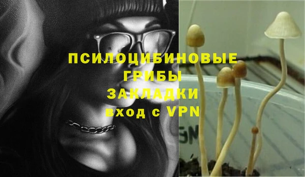 ГАЛЛЮЦИНОГЕННЫЕ ГРИБЫ Богородск