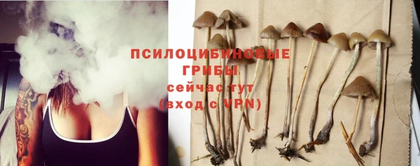 прущие грибы Богородицк