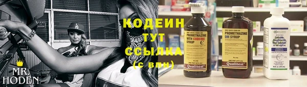прущие грибы Богородицк