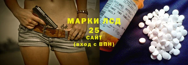 гашик Богданович