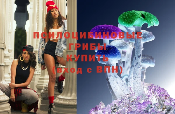 ГАЛЛЮЦИНОГЕННЫЕ ГРИБЫ Богородск