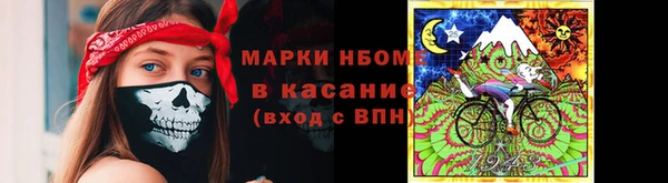 гашик Богданович