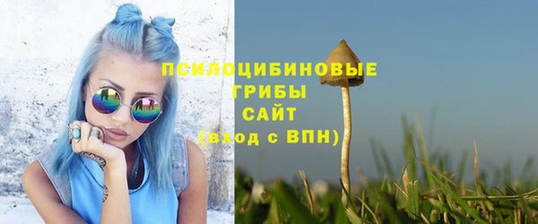прущие грибы Богородицк