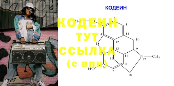 прущие грибы Богородицк