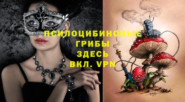 гашик Богданович