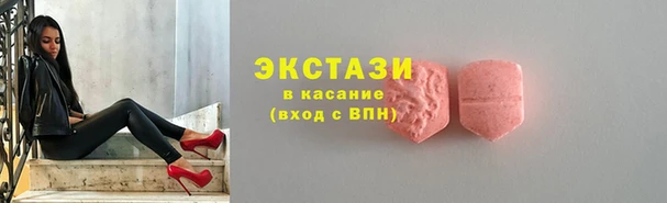 прущие грибы Богородицк