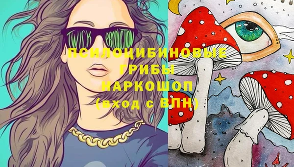 гашик Богданович