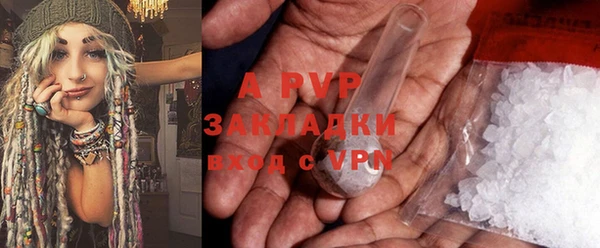 прущие грибы Богородицк