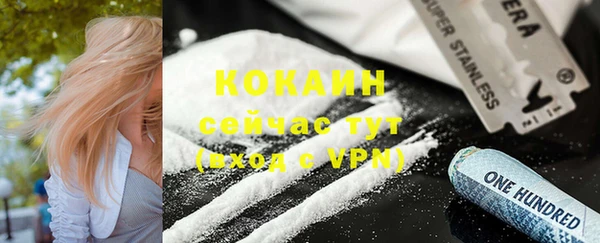 гашик Богданович