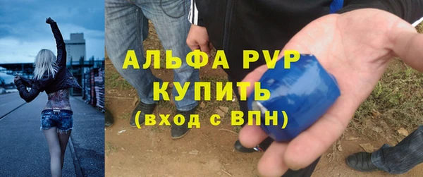 гашик Богданович