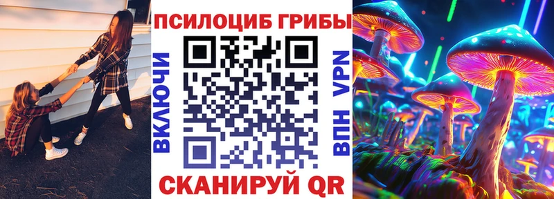 Псилоцибиновые грибы GOLDEN TEACHER где найти наркотики Великий Новгород