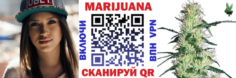 Канабис OG Kush  Великий Новгород 